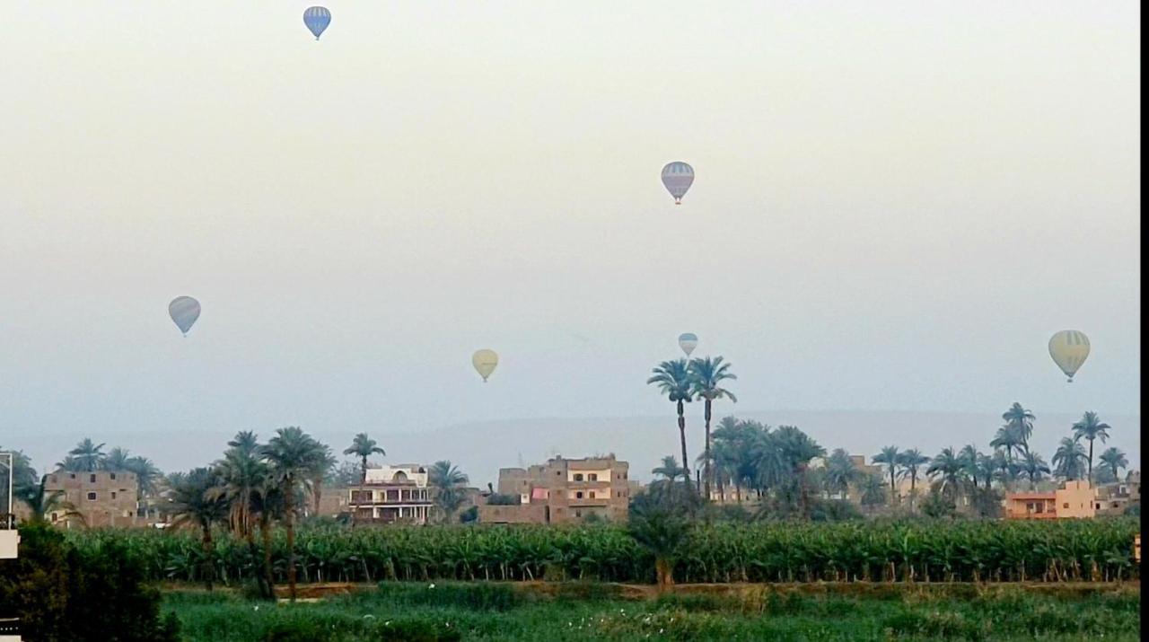Luxor Guest House Exteriör bild