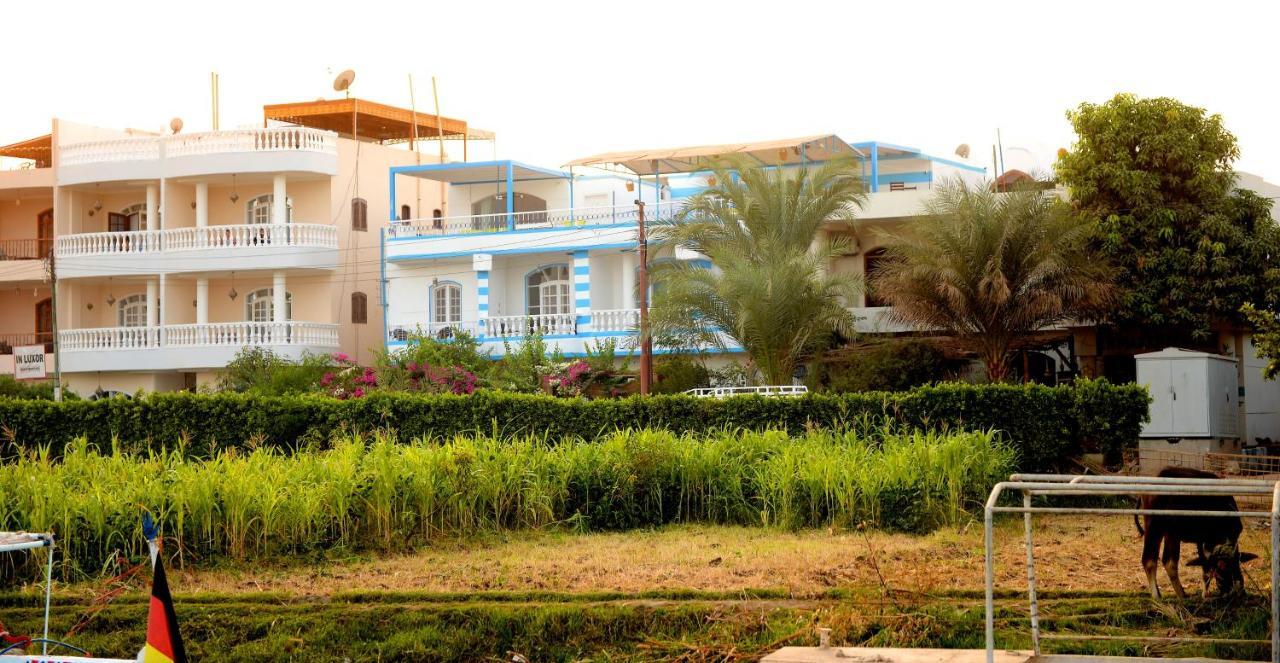 Luxor Guest House Exteriör bild